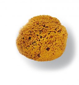 SPUŽVA ZA DEKORACIJU PRIRODNA 12-14CM